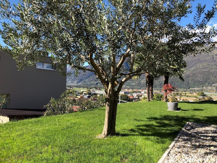 Sinergia E Benessere SantʼAntonio Dış mekan fotoğraf