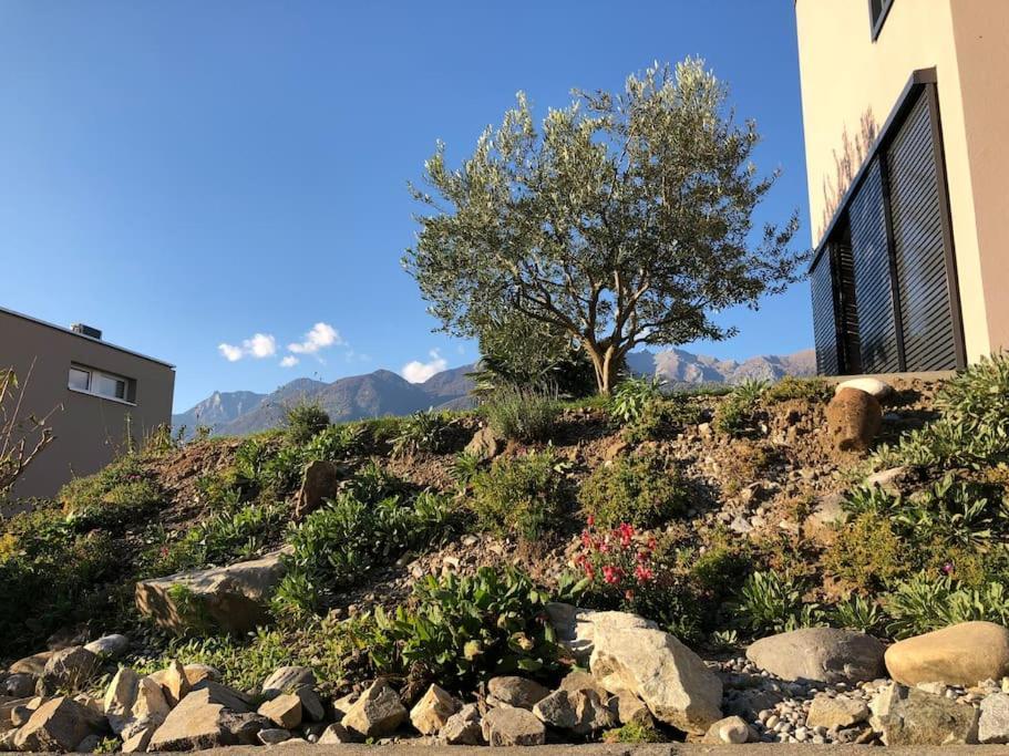 Sinergia E Benessere SantʼAntonio Dış mekan fotoğraf