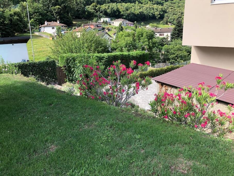Sinergia E Benessere SantʼAntonio Dış mekan fotoğraf